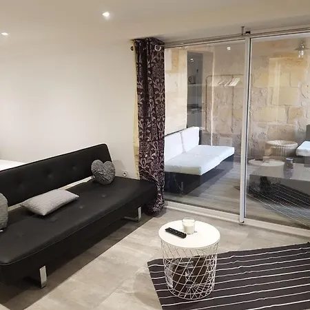 Grand Studio Avec Patio - Jardin Public Apartment Bordeaux